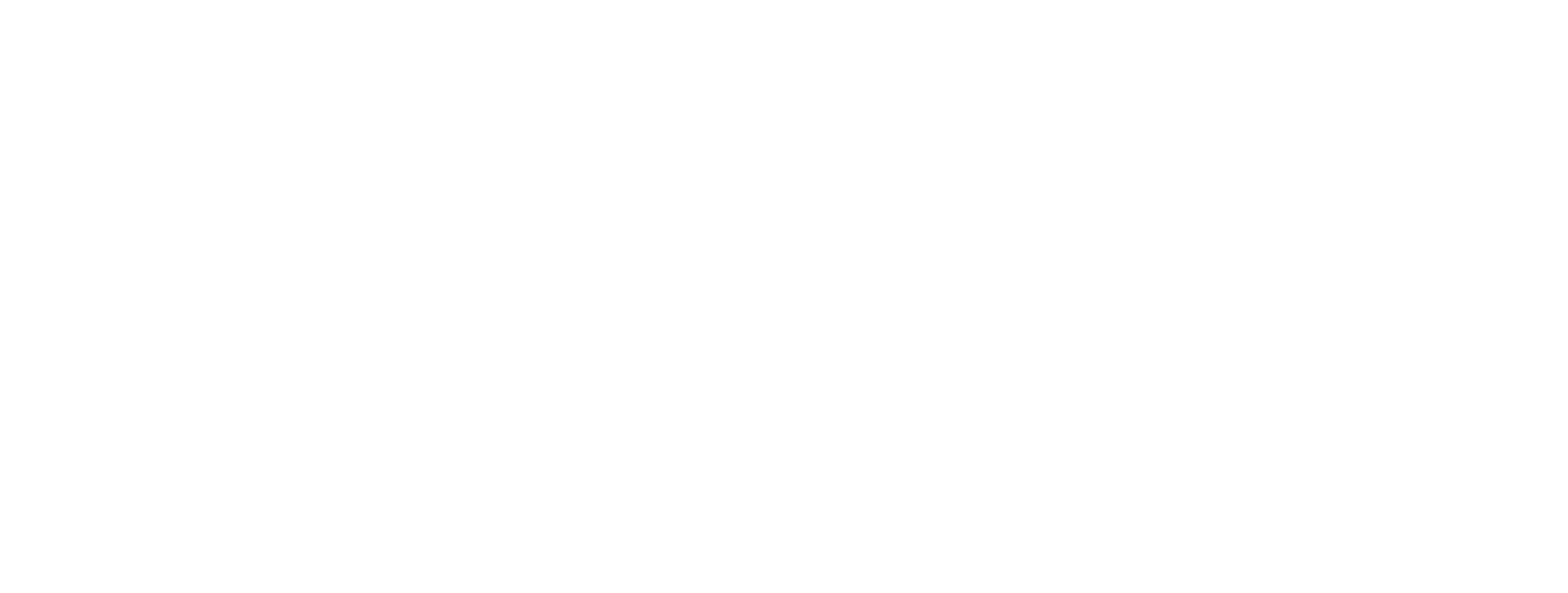 GS Perú - Software, Security & Services